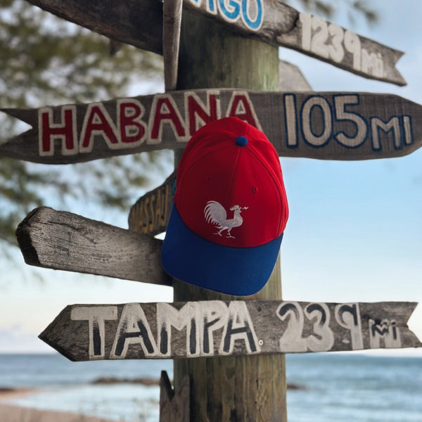 Red White Blue Flex Fit