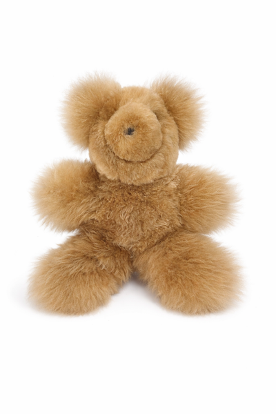 Plush Teddy Bear
