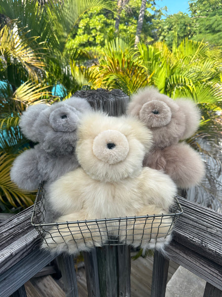 Plush Teddy Bear