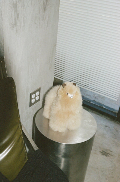 Plush Alpaca