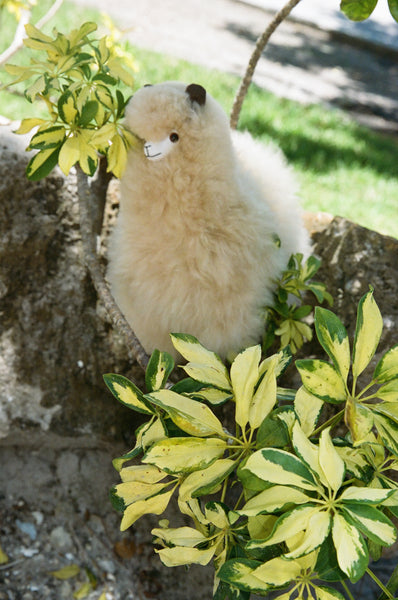 Plush Alpaca