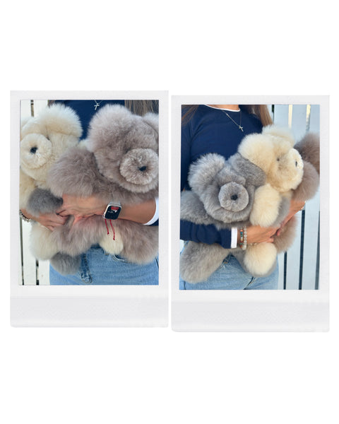 Plush Teddy Bear