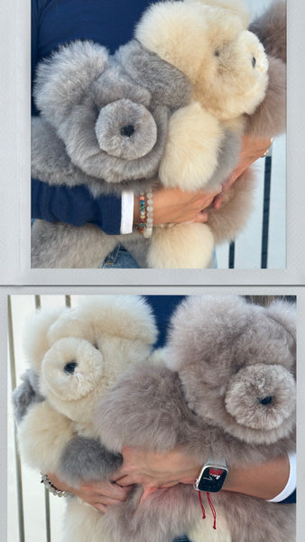Plush Teddy Bear