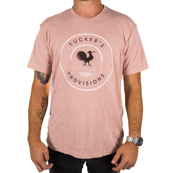 Raspberry Yogurt & Chocolate