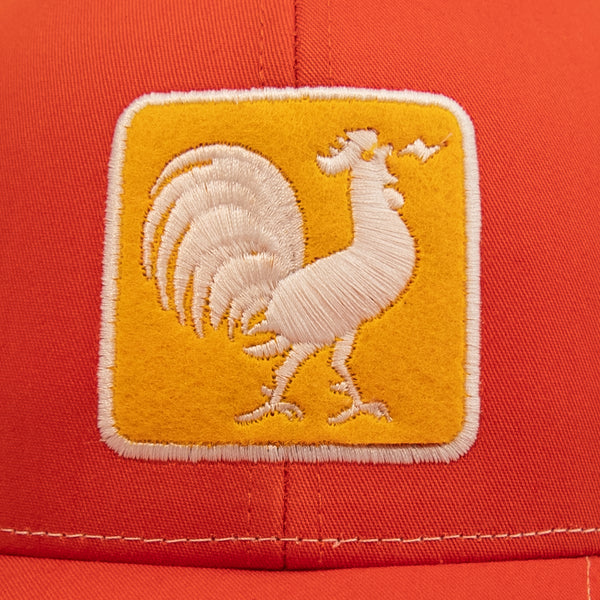 Sunshine State Trucker